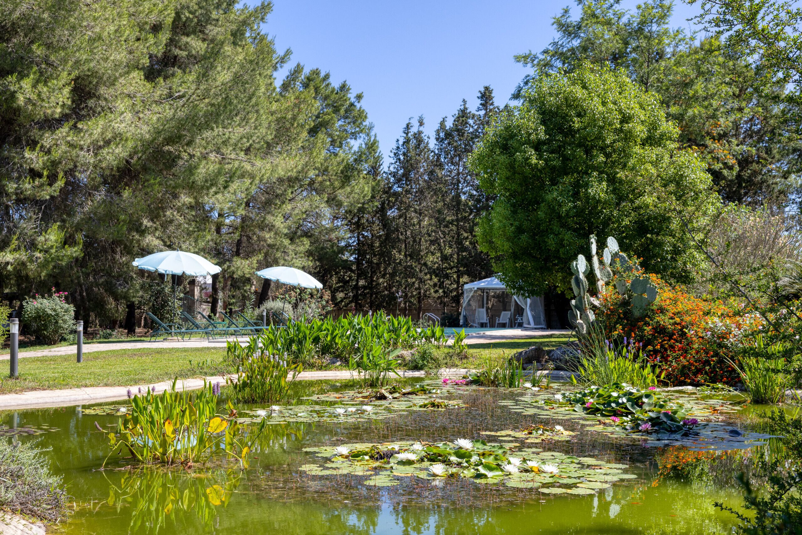 Parco della struttura