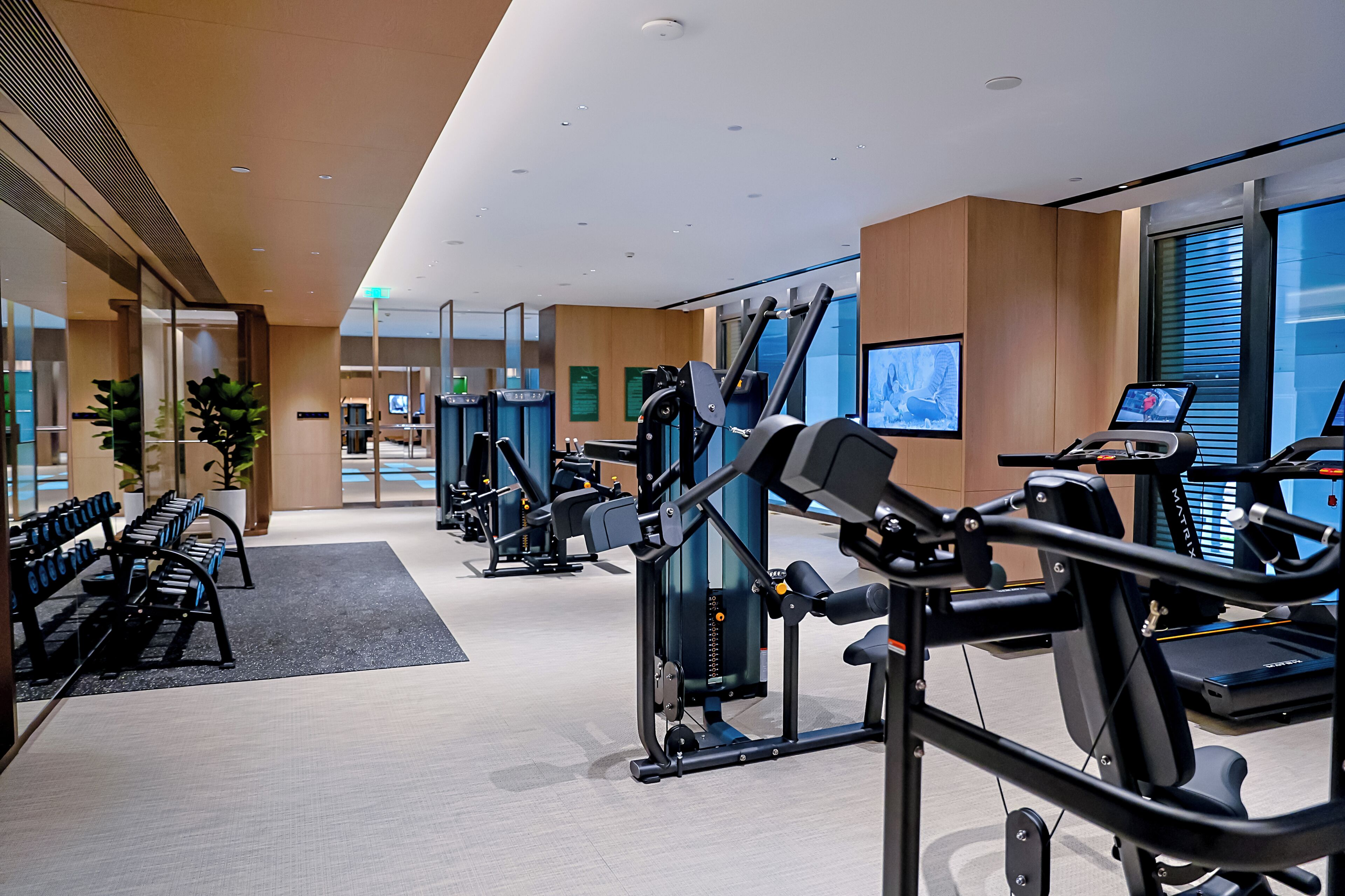 A modern gym with various exercise machines, benches, and a large window providing natural light.