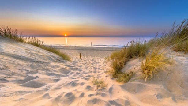 Ein Sandweg am Strand, der zum Meer führt, mit Dünen an beiden Seiten.