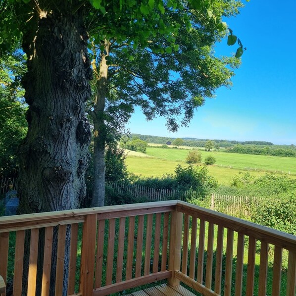 Property grounds - Alter Lindenhof Gnissau – Spacious Apartment in Historic Country House (Ahrensbök)