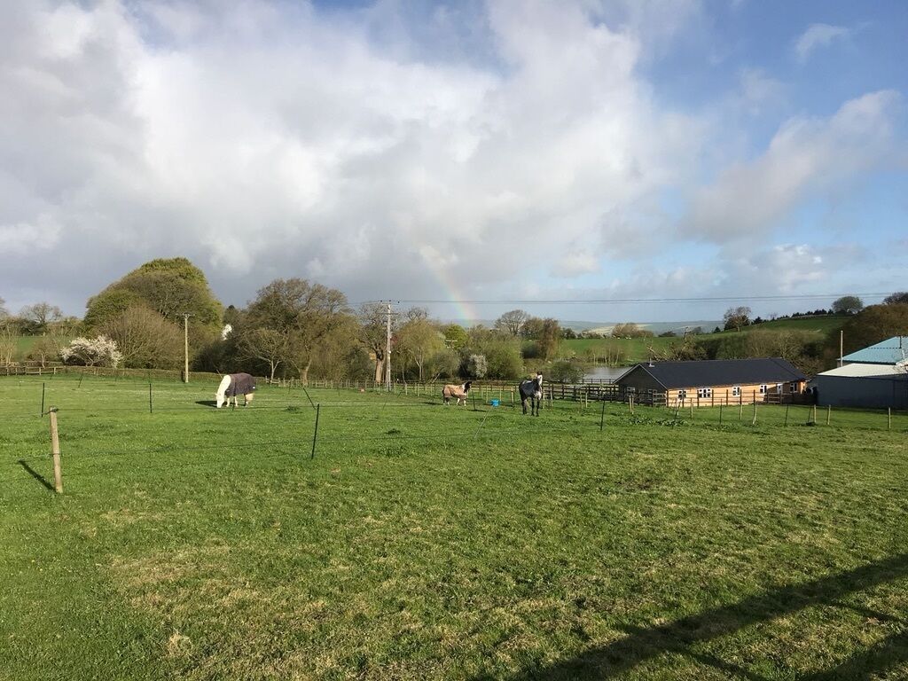 A rural landscape with a fenced field, a few buildings, and a large tree.