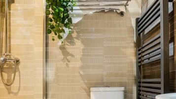 Shower, hair dryer, towels, shampoo