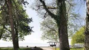 Un chemin mène à un bâtiment à la façade en verre, entouré de grands arbres et offrant une vue sur l’eau.