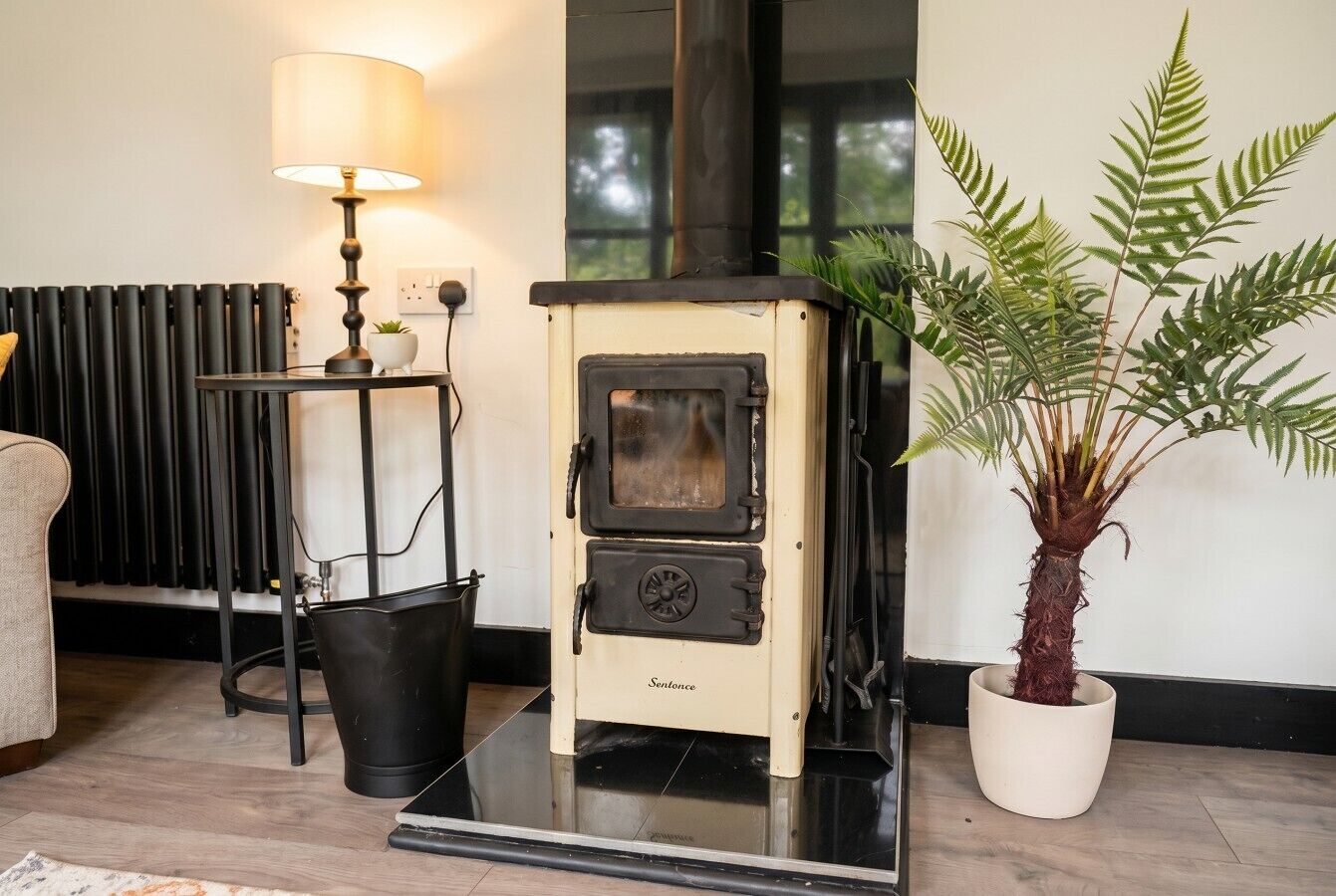 A room with a wood-burning stove, a lamp, a radiator, and a potted plant.