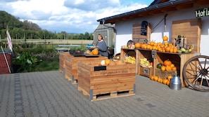 A wooden outdoor seating area with wooden crates labeled 'Wilhelmshof 2020' and a variety of pumpkins and gourds displayed on shelves. - Apartment 'Wilhelmshof' with Balcony and Wi-Fi (Sinzig)
