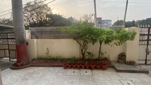 Un patio con piso de baldosas, una palmera, plantas en macetas y una cerca de metal.