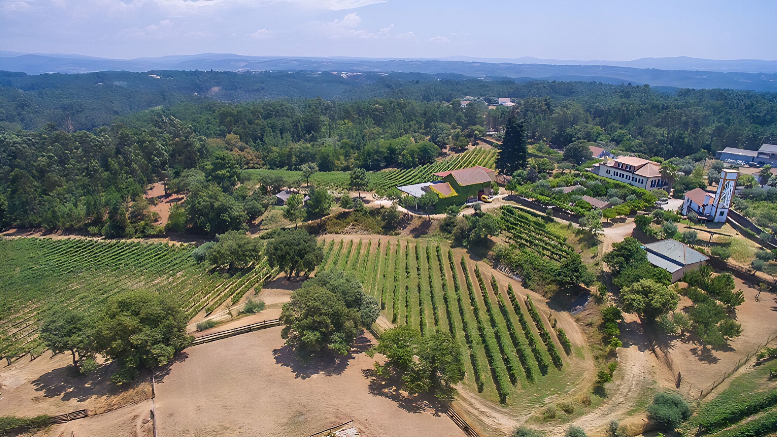 An aerial view of a vineyard with rows of grapevines, a few buildings, and a large open area.