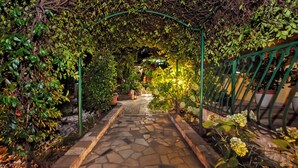 Ein steinbelagter Weg führt durch einen üppigen Garten mit einem grünen Metallbogen.