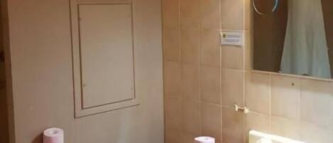 Un baño con inodoro, lavamanos y espejo.
