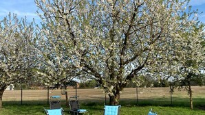 Zona all'aperto con sedute in metallo e un tavolo, circondata da alberi in fiore.