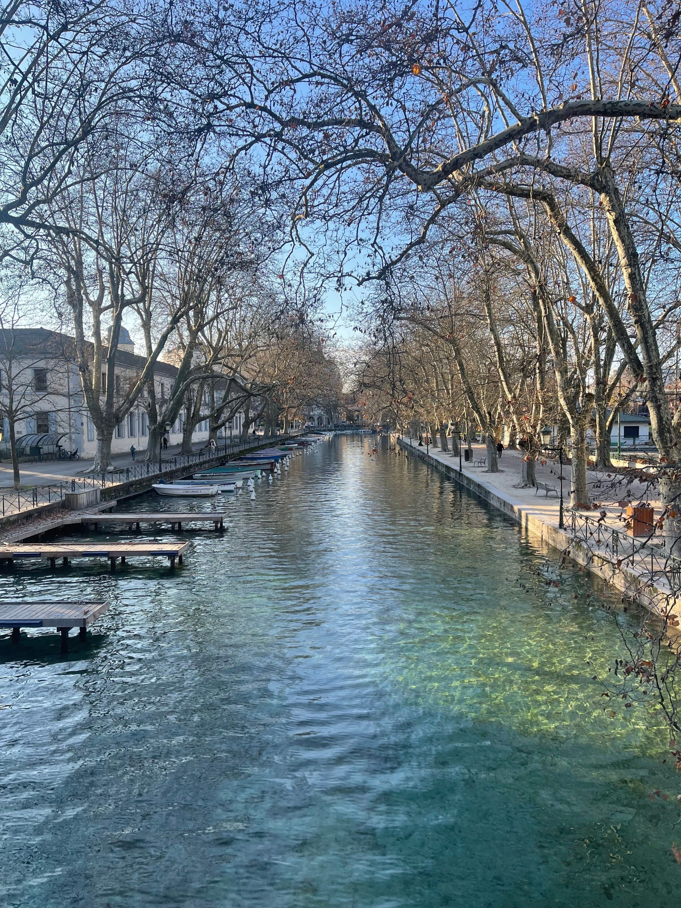 A canal with clear water, lined with trees and buildings on both sides.