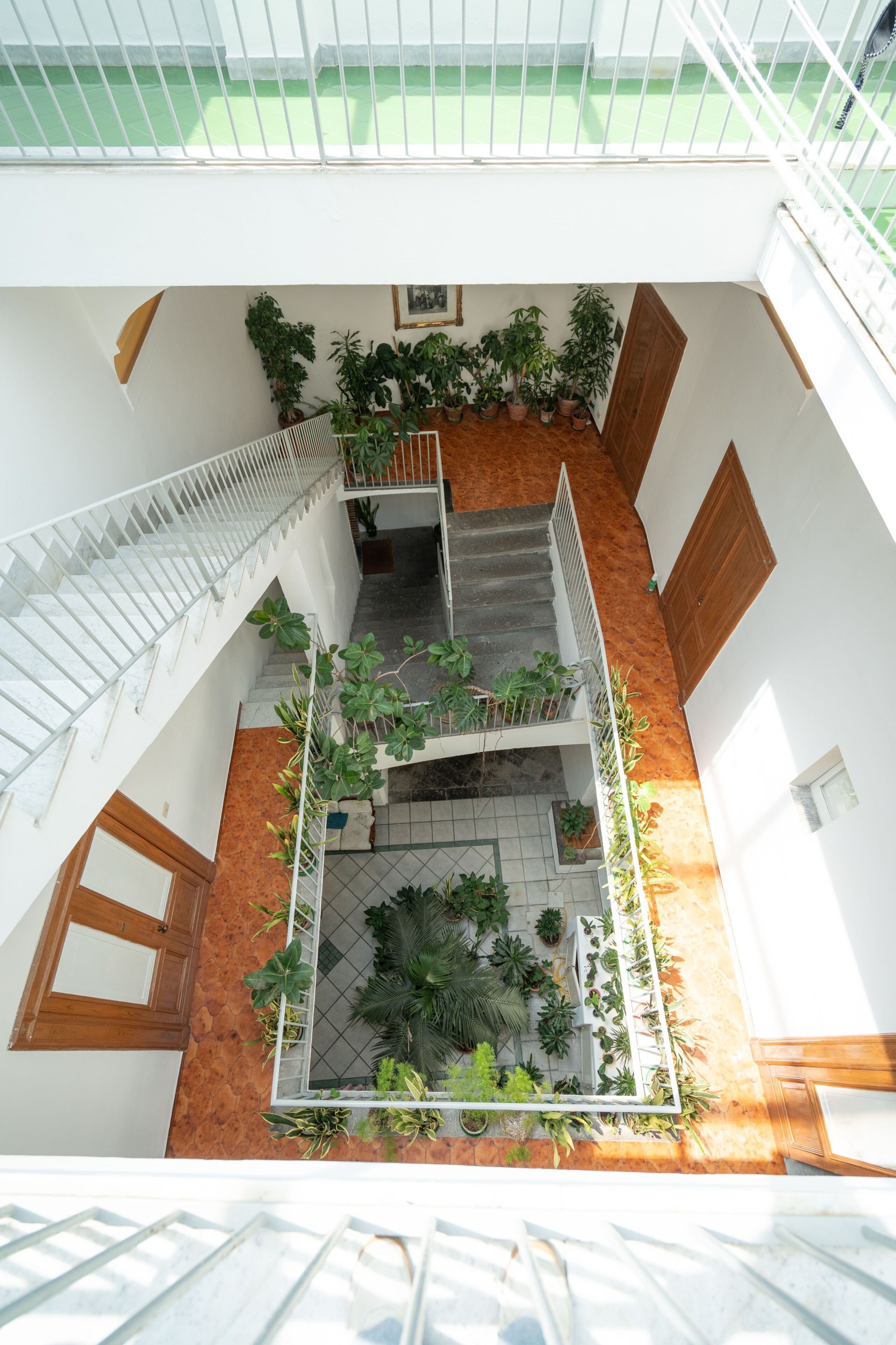 A multi-level indoor space with a staircase, potted plants, and a tiled floor.
