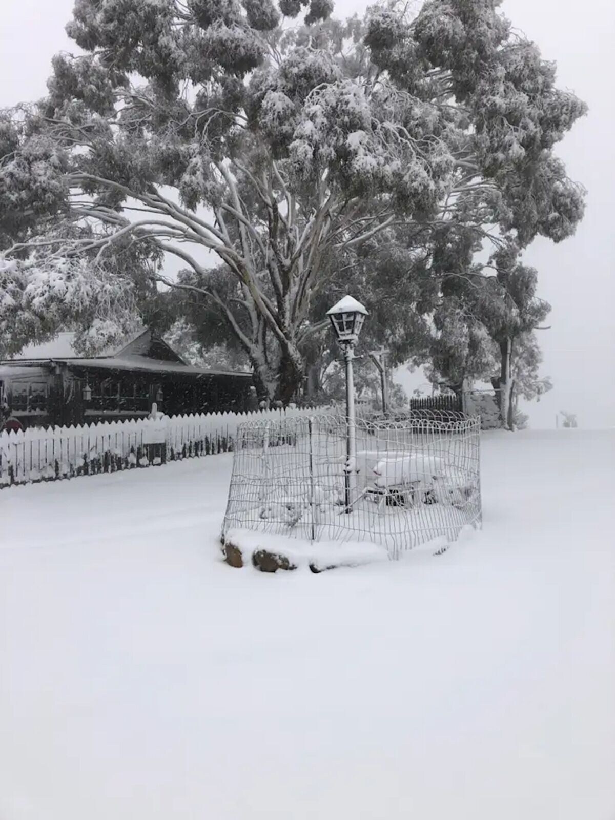 オーナーのプロフィール画像