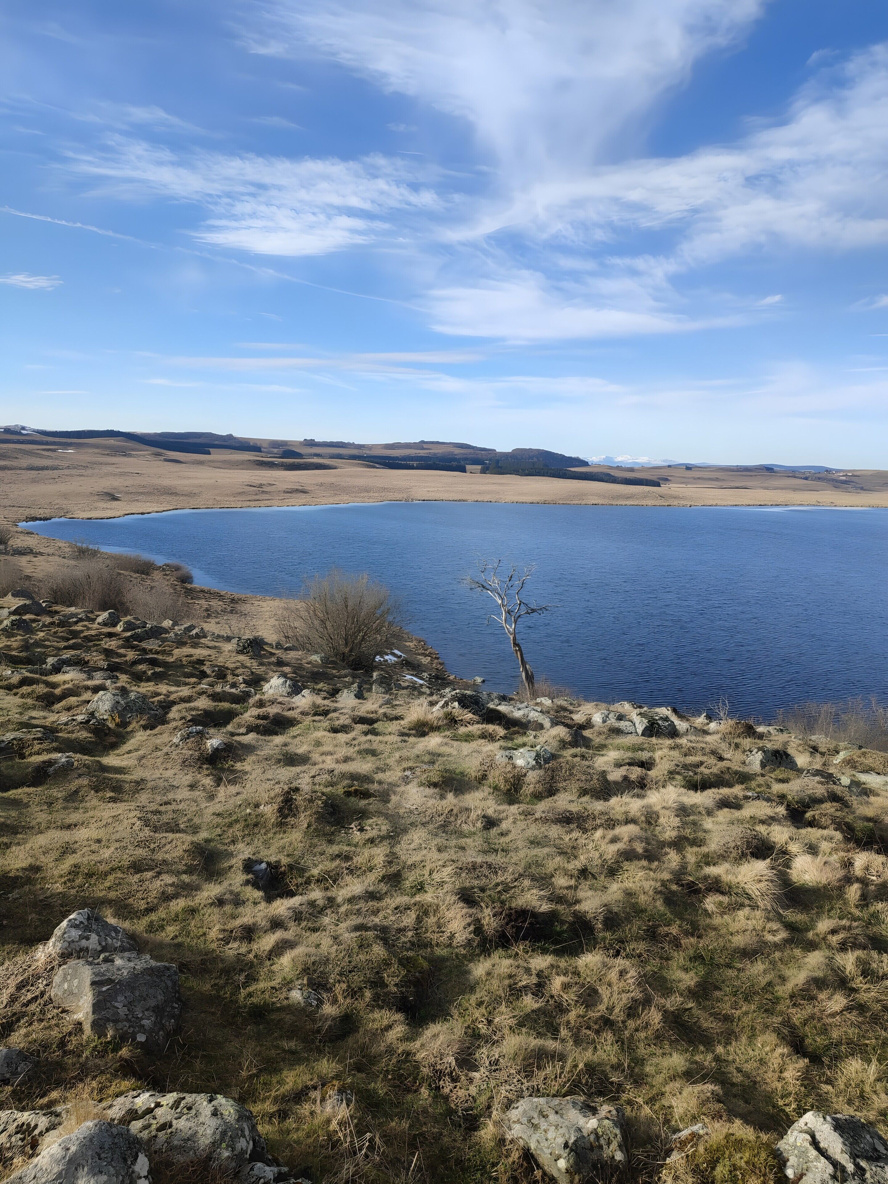 Eine natürliche Landschaft mit Wasserfläche, felsigem Gelände und vereinzelter Vegetation.
