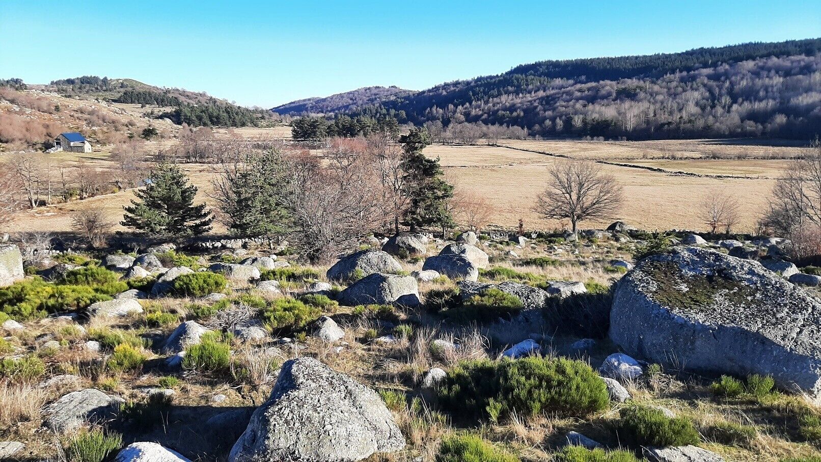 Eine ländliche Landschaft mit felsigem Untergrund, spärlicher Vegetation und weit entfernten Hügeln.