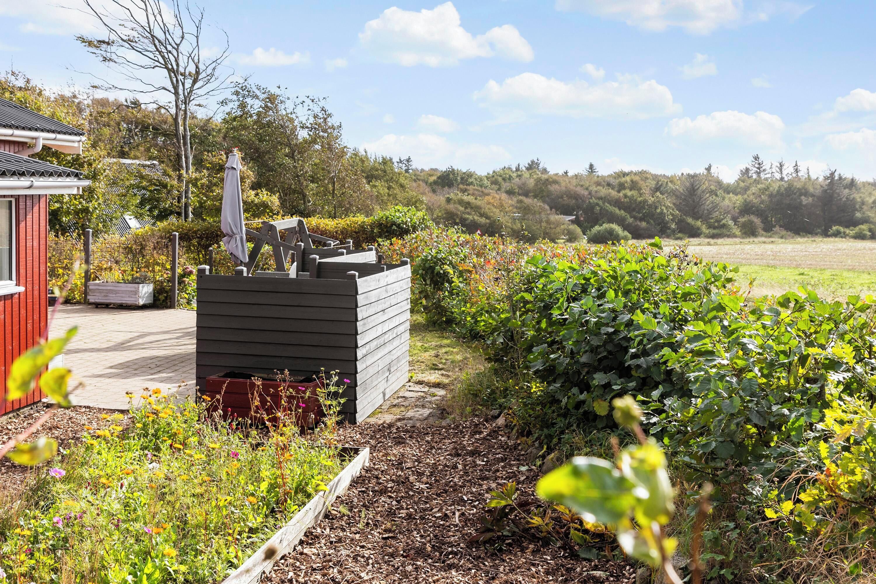 Un espace jardin agrémenté d’un banc en bois, d’un petit abri et d’un sentier menant à un champ.