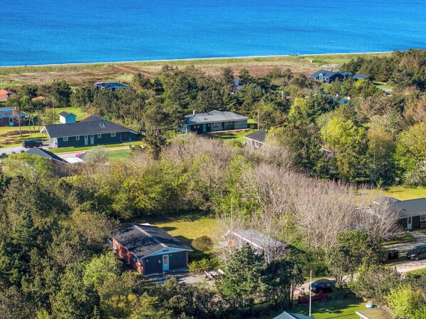 A residential area with houses, a beach, and a forested area.