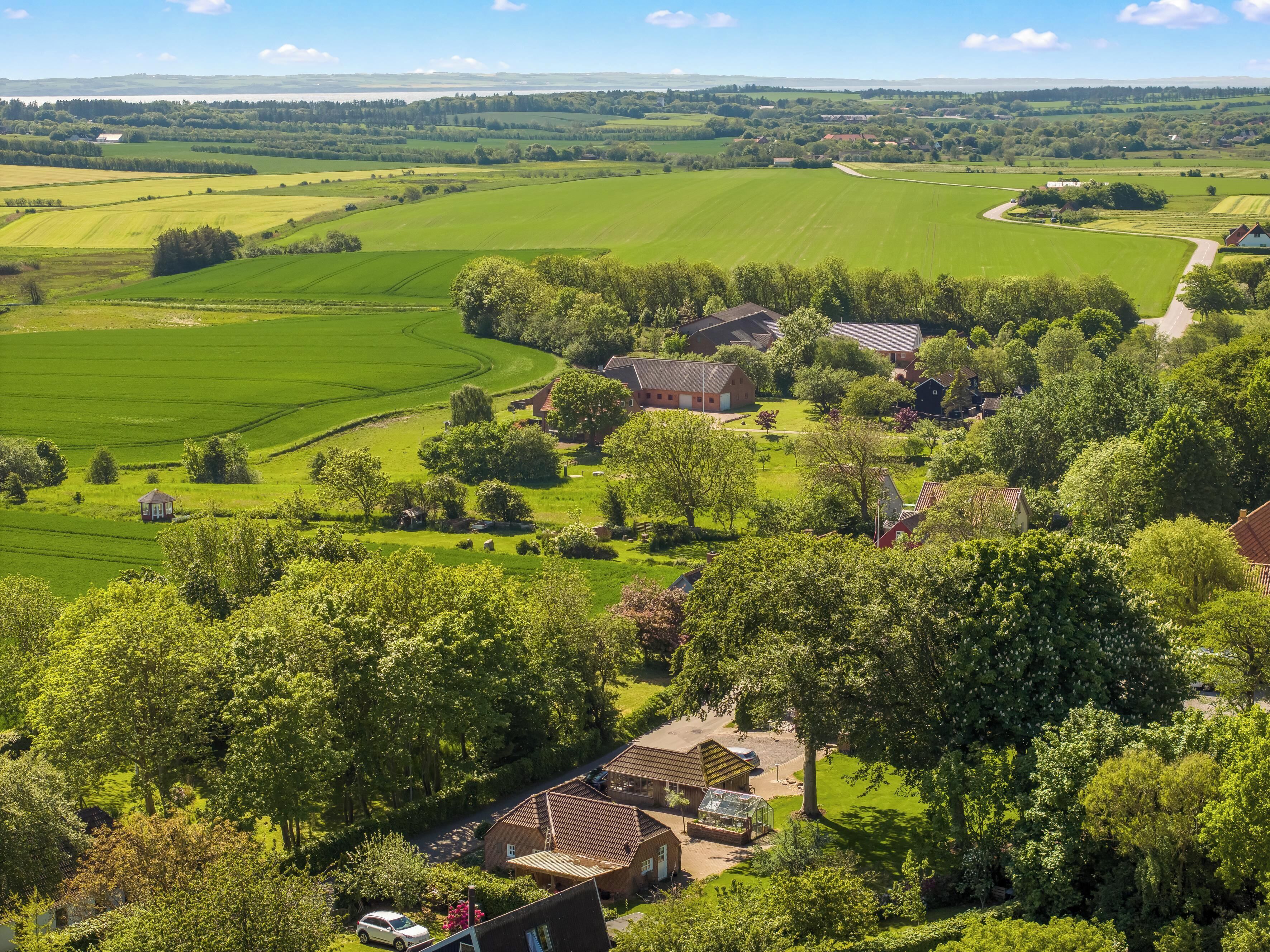 Ländliche Landschaft mit Feldern, Bäumen und Häusern.