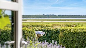 Une vue à travers une fenêtre, avec des haies soigneusement taillées et des plants de lavande.