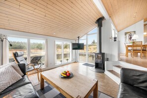 TV, DVD player - Lovely holiday home with Hot tub, sauna and space for 8 people (Ringkøbing)
