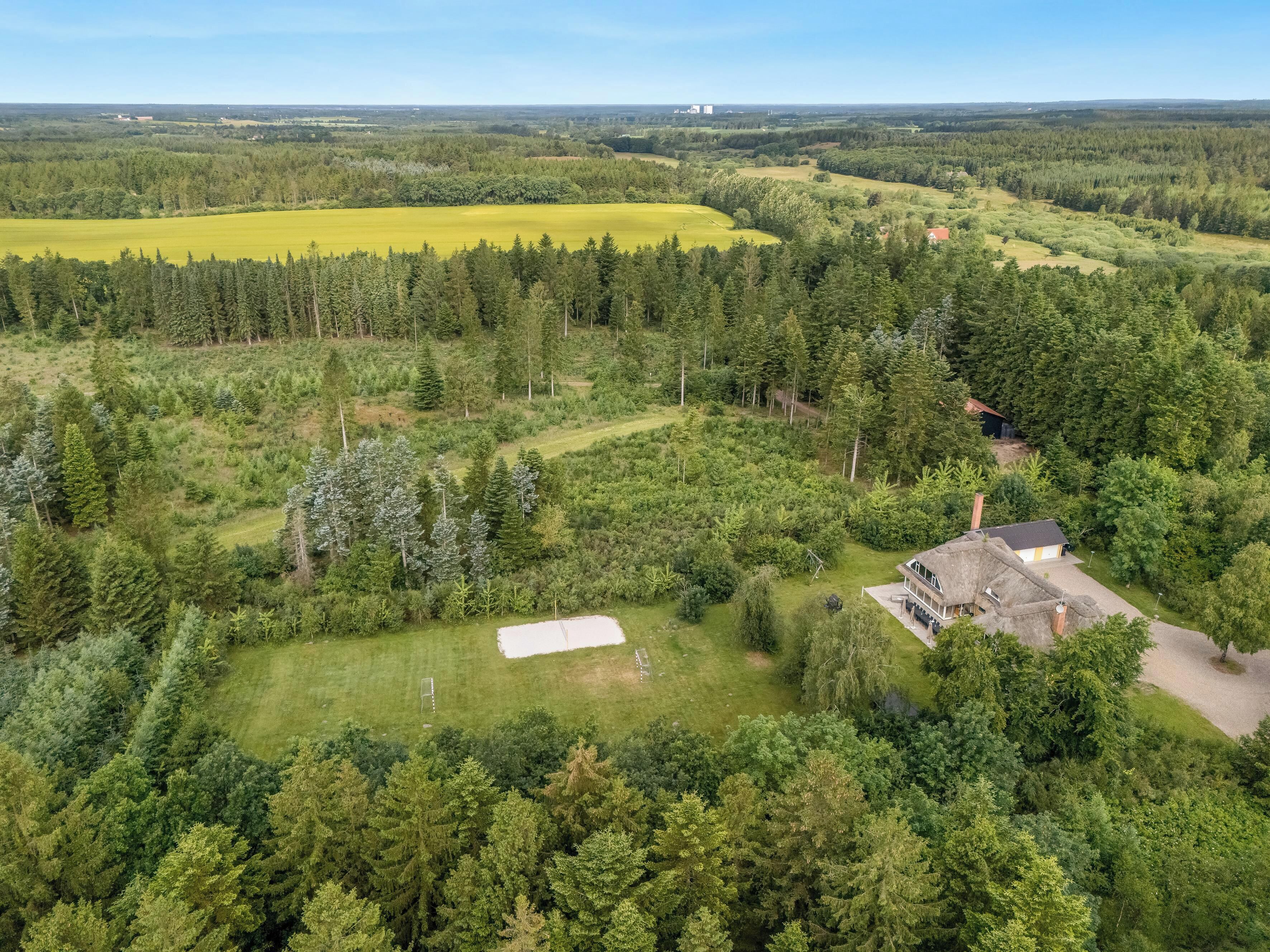An aerial view of a property with a large open field, dense forest, and a building with a thatched roof.