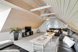 TV, DVD player, foosball, table tennis - Large pool house for 24 people, with almost everything in activities, 300. (Vinderup)