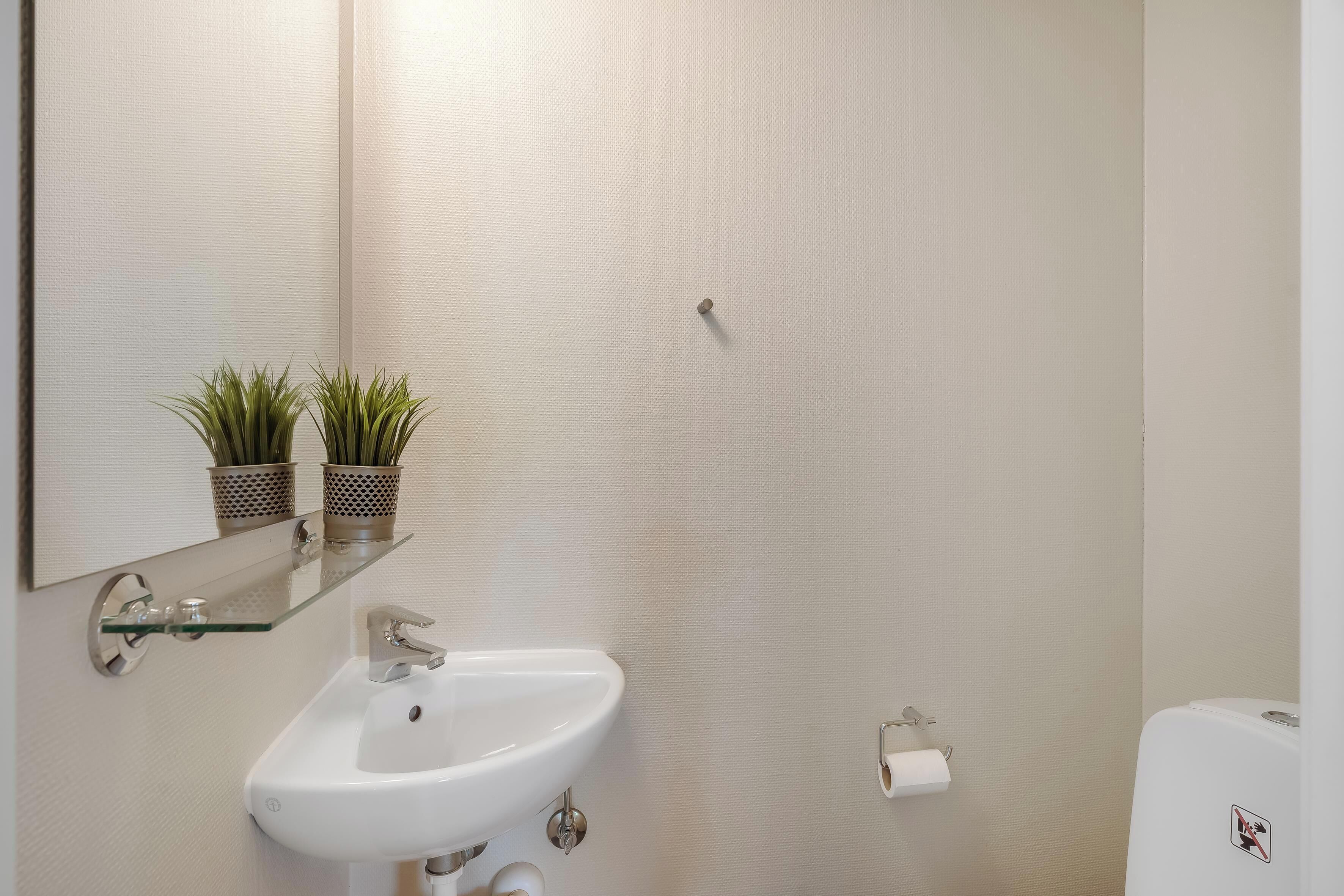 A bathroom with a white sink, a mirror, and two potted plants on a shelf.