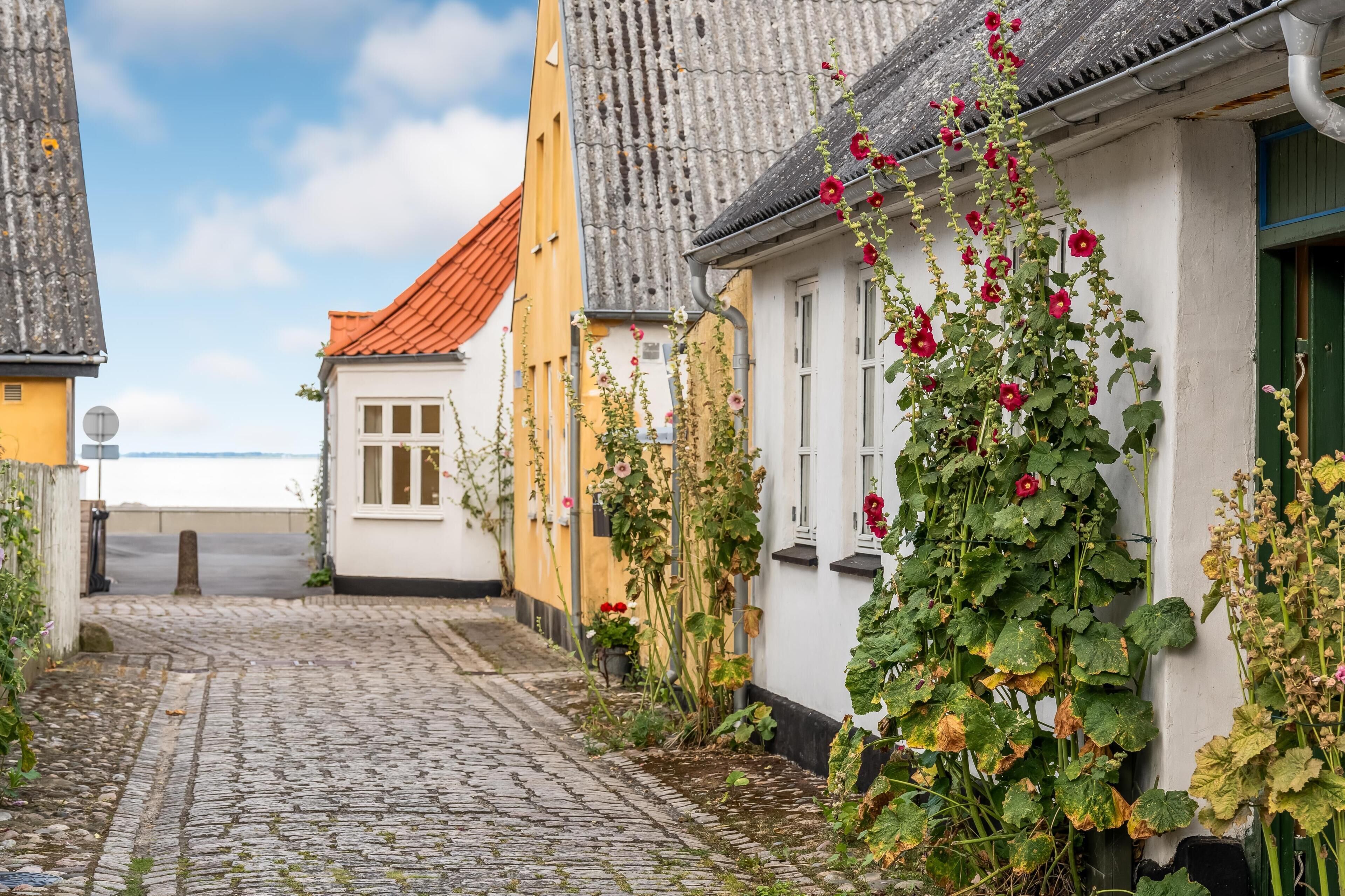 A cobblestone street with buildings, a clear sky, and a body of water in the distance.