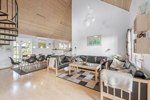 TV, DVD player - Large holiday home on 2 levels, with views of Ringkøbing Fjord and outdoor. (Skjern)