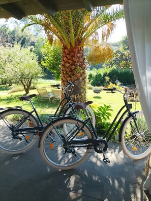 En cykel parkerad under ett palmtree, med en trädgård i bakgrunden.
