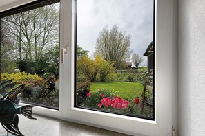 Blick durch ein Fenster auf einen Garten mit Rasen, Bäumen und einem Zaun.