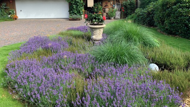 Ein Haus mit Garage, ein Garten mit Lavendel und Solaranlage auf dem Dach.