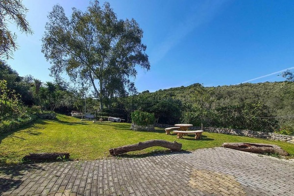 Large shared lawn area surrounded by nature.