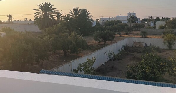 A residential area with buildings, palm trees, and a white wall.