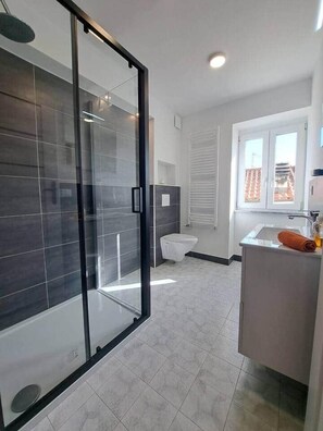 Shower, hair dryer, soap, toilet paper