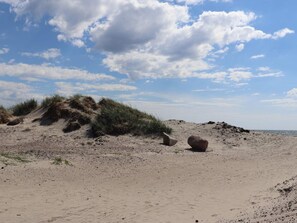 House | Beach - 4 Person Holiday Home in Tvaaker (Tvaaker)