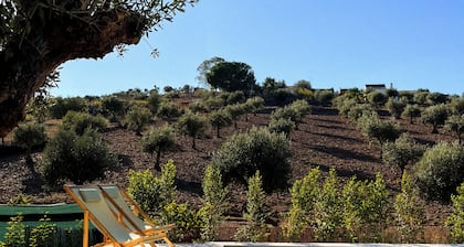 Alentejo slow living