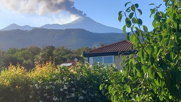 Una casa de techo rojo, rodeada de vegetación y una montaña al fondo.