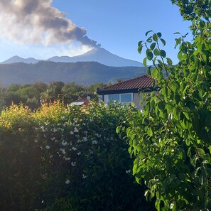 Una casa de techo rojo, rodeada de vegetación y una montaña al fondo.