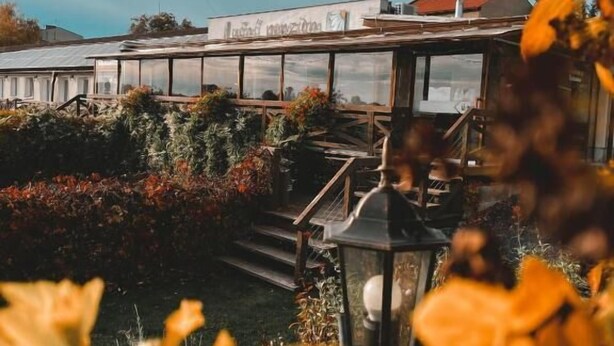 A greenhouse with a glass structure, surrounded by plants and a staircase leading up to a building with a red roof. - Luční penzion (Česká Skalice)