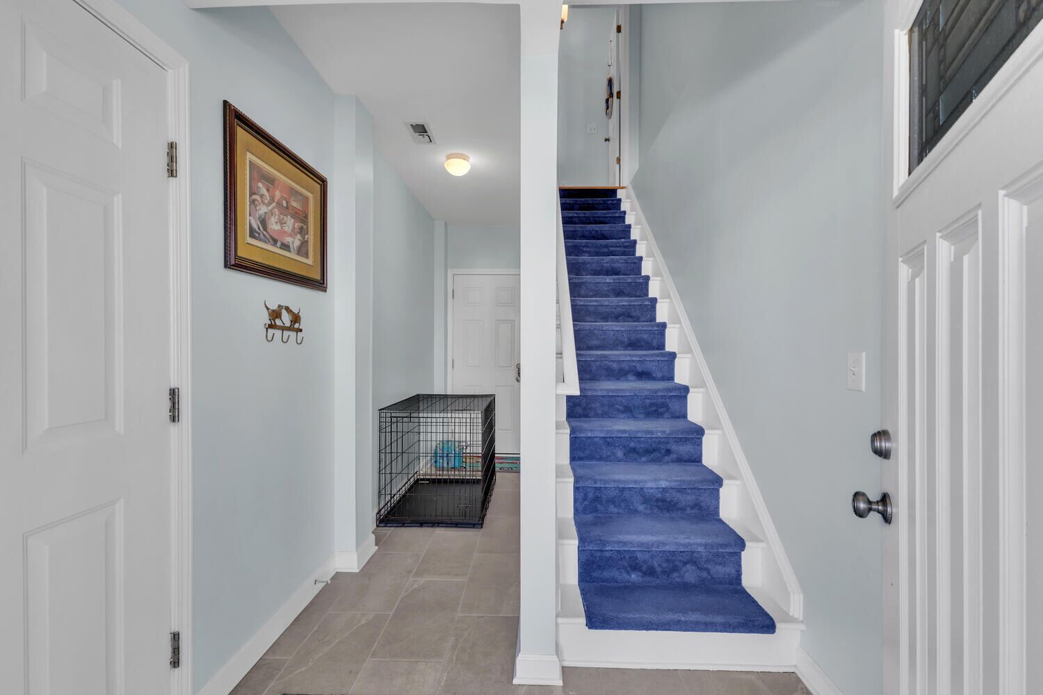 Step into your bright entryway with striking blue carpeted stairs and thoughtful pet-friendly touches that make this feel like home.