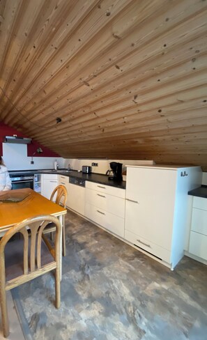 Private kitchen - Spacious vacation apartment approx. 100 sqm with balcony and beautiful view (Parkstein)