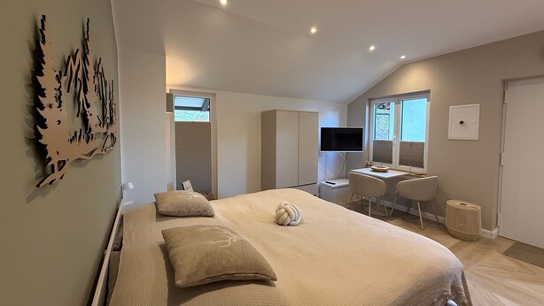 A bedroom with a bed, a desk, a chair, a TV, and a wardrobe.