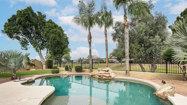 A swimming pool with a curved edge, surrounded by palm trees and a fence. - Patio & Home Gym! Augusta Ranch Golf Home (Mesa)