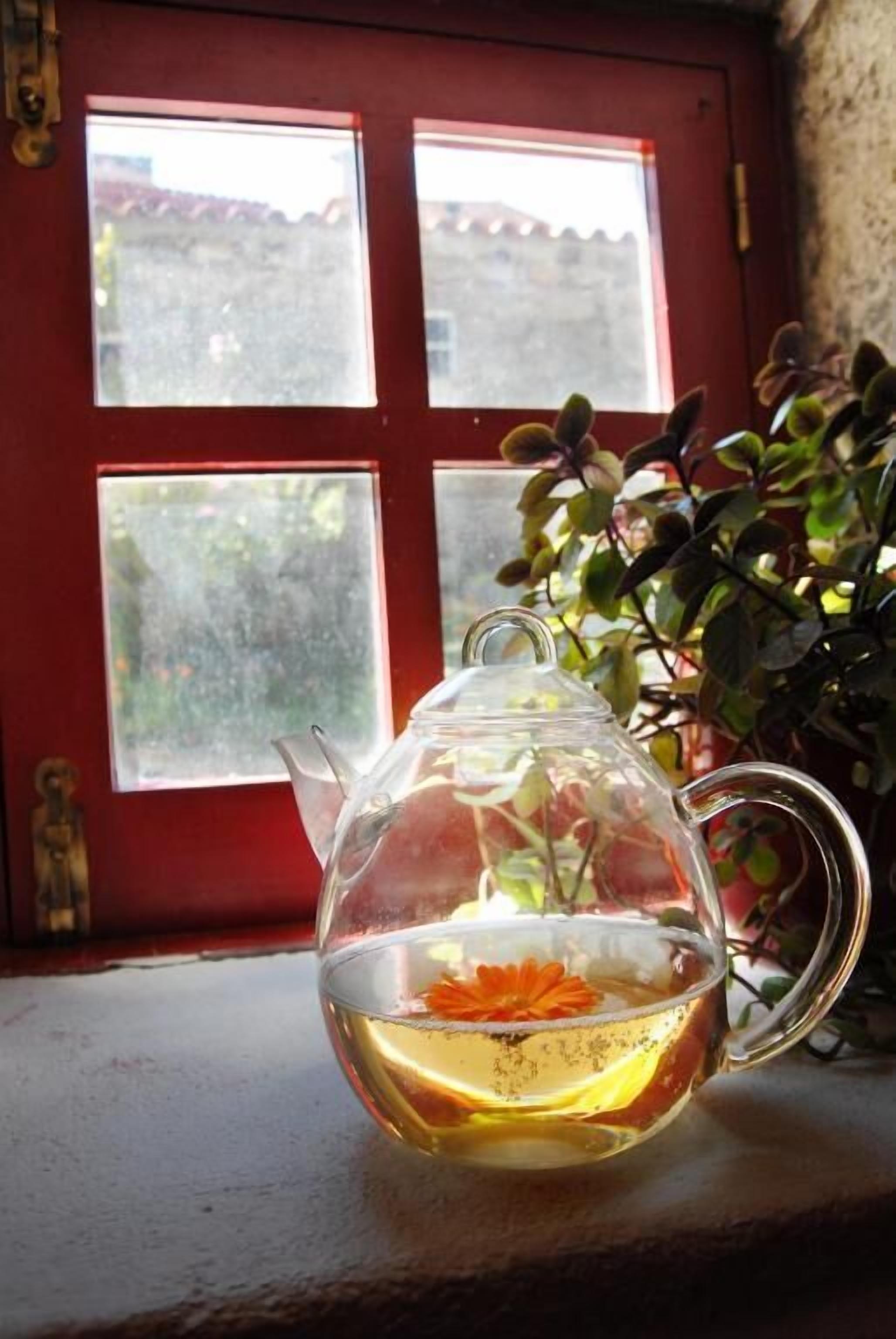 Una tetera de vidrio transparente con una flor en el borde, colocada en un alféizar con una puerta roja y una planta de fondo.