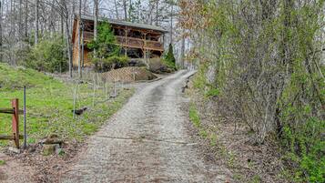 Nhà (2 Bedrooms) | Nội thất