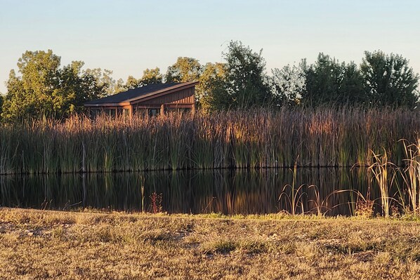 Apartment (0 Bedroom) | Interior - Ozarks Studio on a Working Farm: Hike, Fish, Relax (Richland)