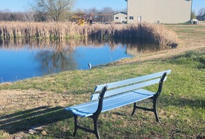 Apartment (0 Bedroom) | Interior - Ozarks Studio on a Working Farm: Hike, Fish, Relax (Richland)