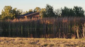 Appartement (0 Bedroom) | Intérieur