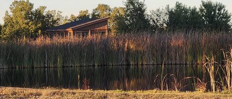 Apartment (0 Bedroom) | Interior